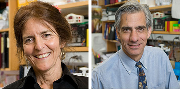 BennettMaguire Jean Bennett, MD, PhD, and Albert M. Maguire, MD