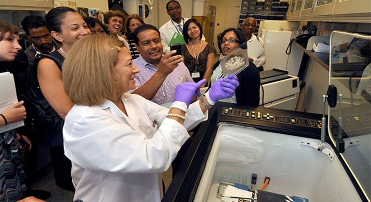 Medical students gather around to view cross-sectional microscope slides.