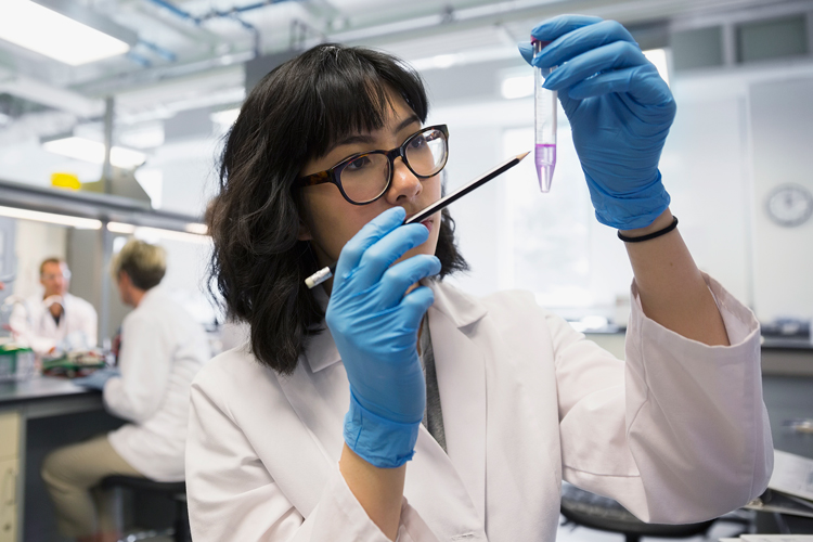 A female researcher pipetting samples for testing.