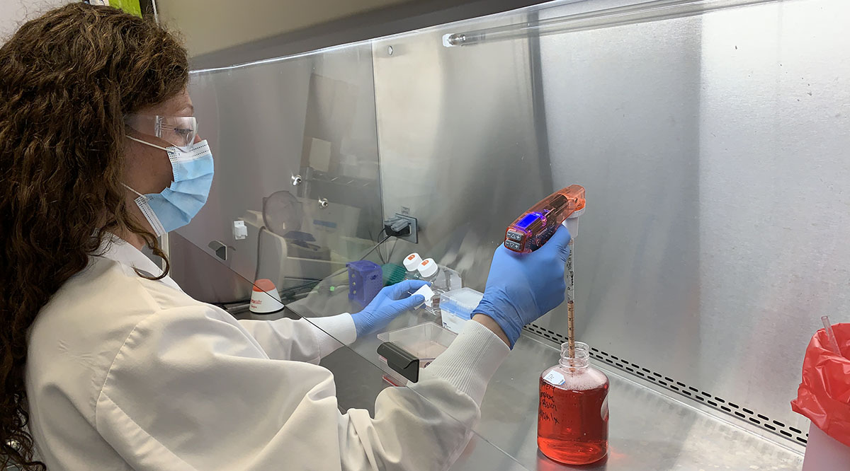 A Regeneron scientist works in the infectious disease lab on development of the company’s antibody cocktail against COVID-19.
