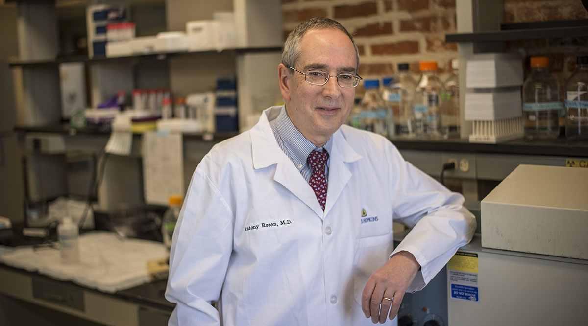 Antony Rosen, MBChB, in a lab at Johns Hopkins Bayview Medical Center