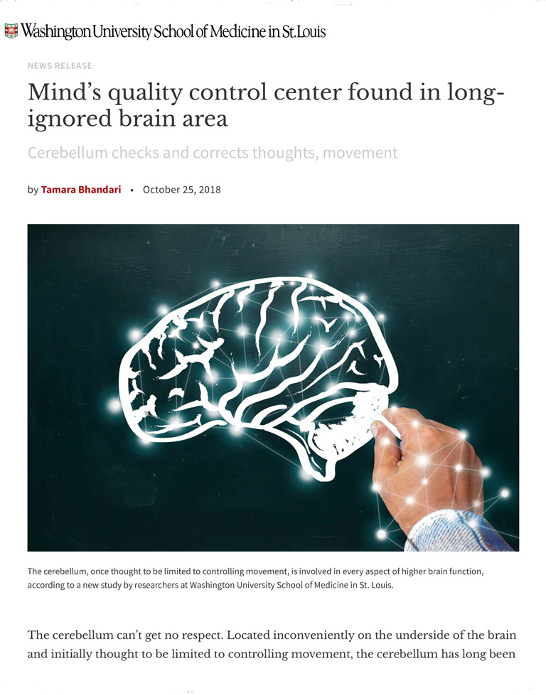 MindsQuality_WUSL_FenleyE article screenshot