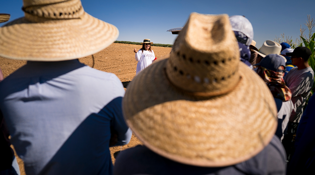 A trainer from the Western Center for Agricultural Health and Safety teaches farm workers about protecting themselves from extreme heat.