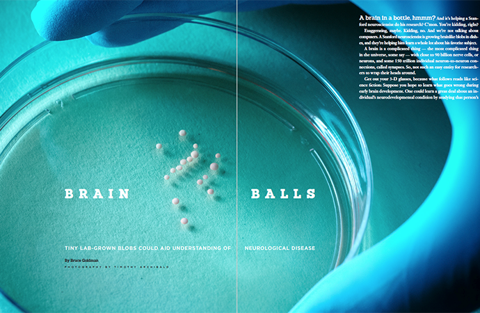 fenley - science - brain balls fenley - science - brain balls