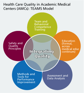 Health Care Quality in Academic Medical Centers: TEAMS Model