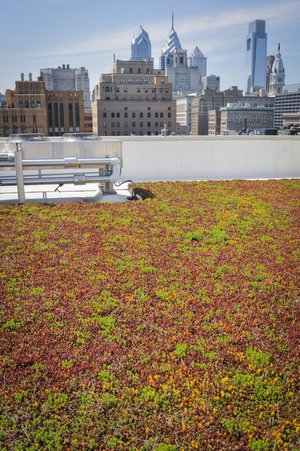 Rooftop garden at Thomas Jefferson University Hospital