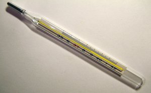 Clinical thermometer