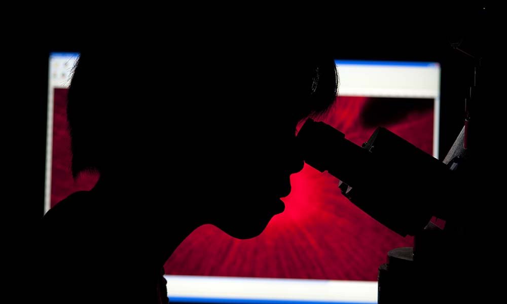 Credit: National Institutes of Health a silhouette of a student looking through a microscope
