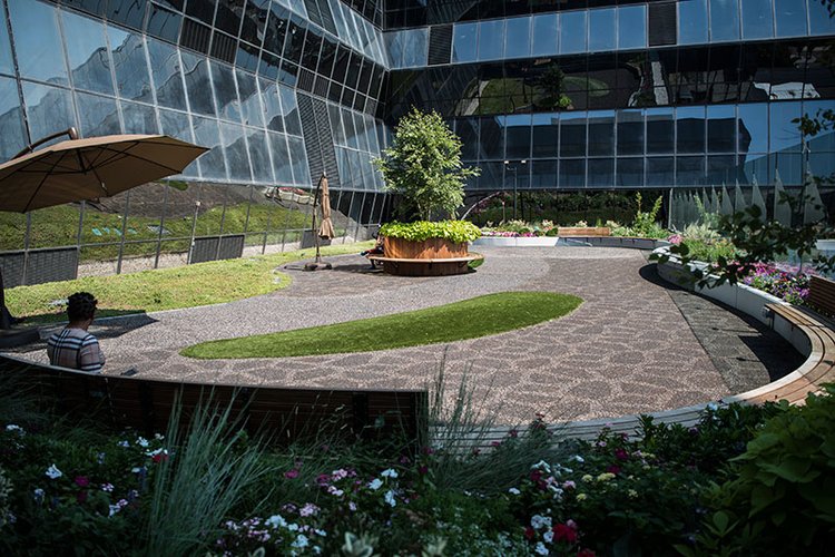 garden with fountain