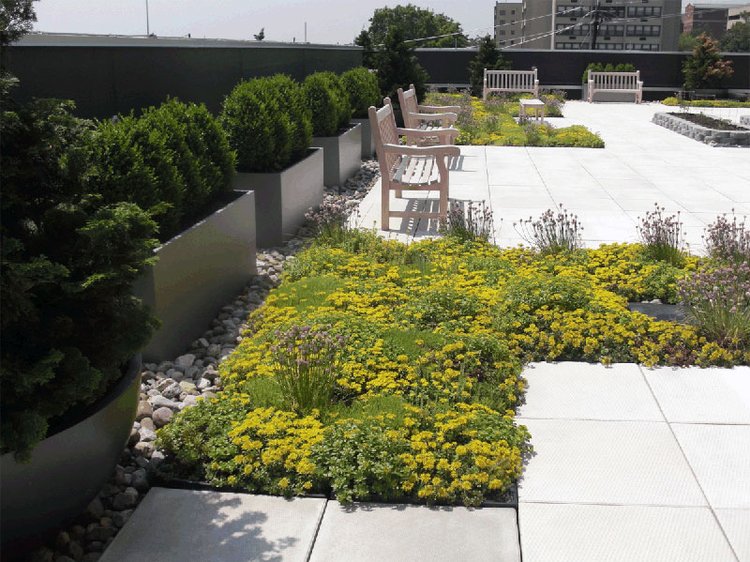 rooftop garden with benches