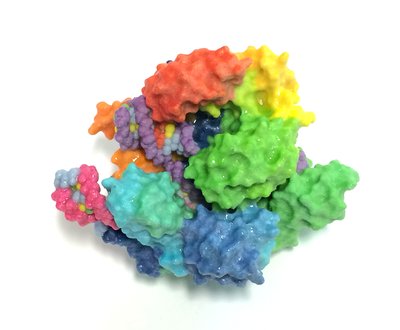 Cas9 from CRISPR (Clustered Regularly-Interspaced Short Palindromic Repeats). Cas9 is a nuclease, an enzyme specialized for cutting DNA.