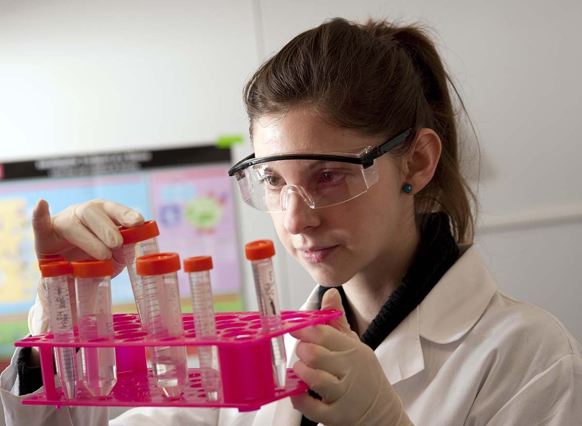 Scientist examining a specimen