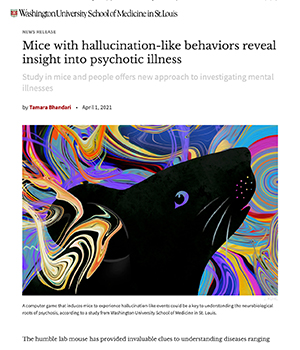 Mice with hallucination-like behaviors reveal insight into psychotic illness article