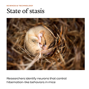 State of Stasis