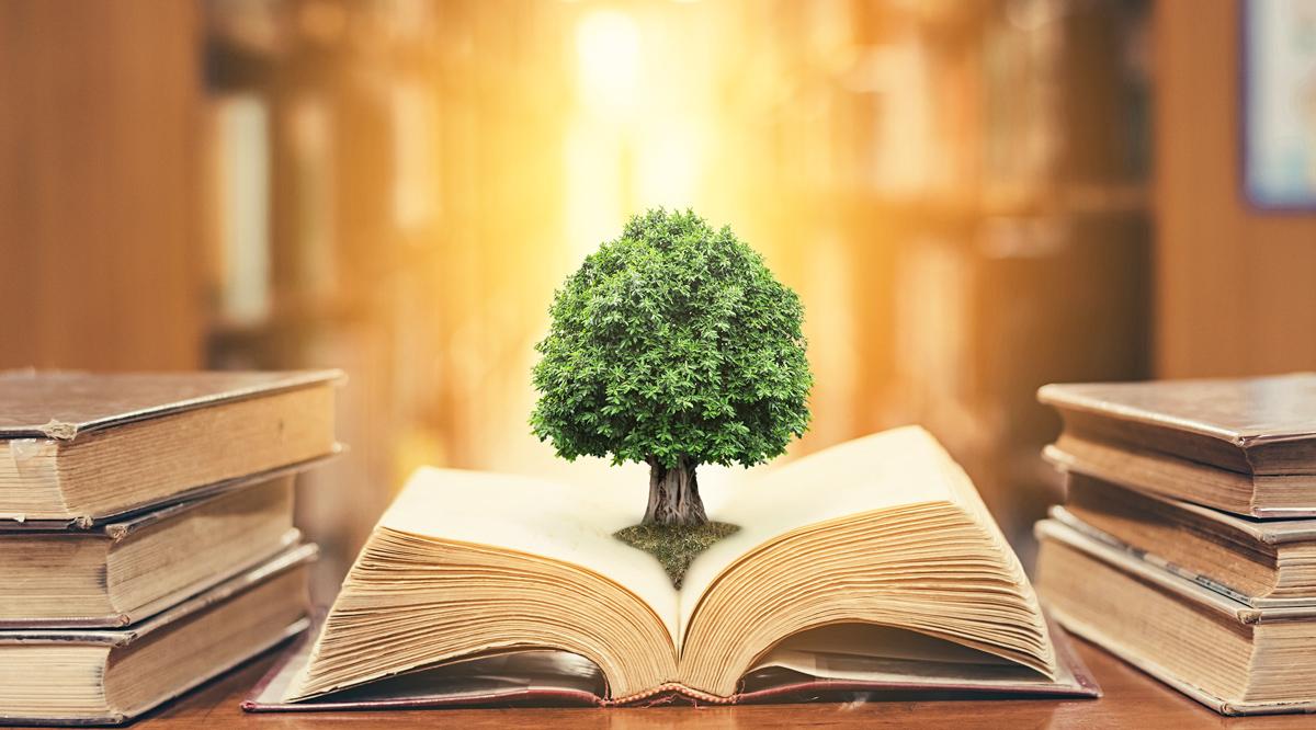 An opened old big book in library full with textbook, stack piles of text. On top of the big old book is a small tree.