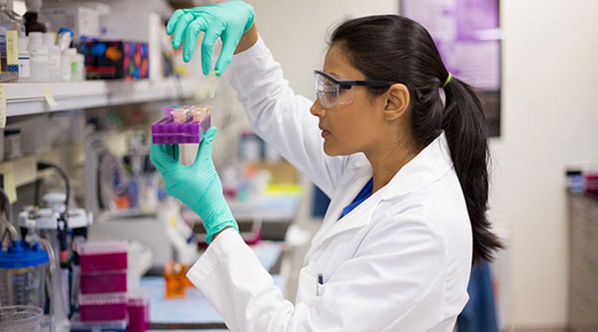 43-aamc-news-student-test-genomes-promo.jpg__992x558_q85_crop-smart_subsampling-2_upscale