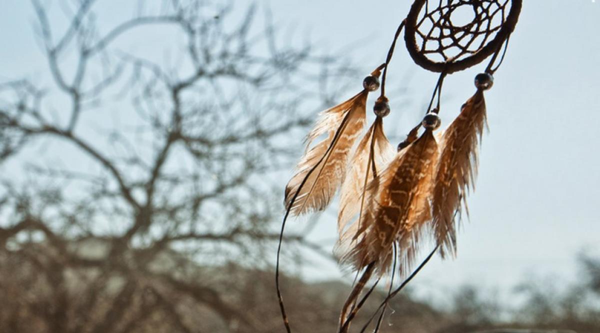 5-aamc-news-native-american-curriculum-promo.jpg__992x558_q85_crop-smart_subsampling-2_upscale