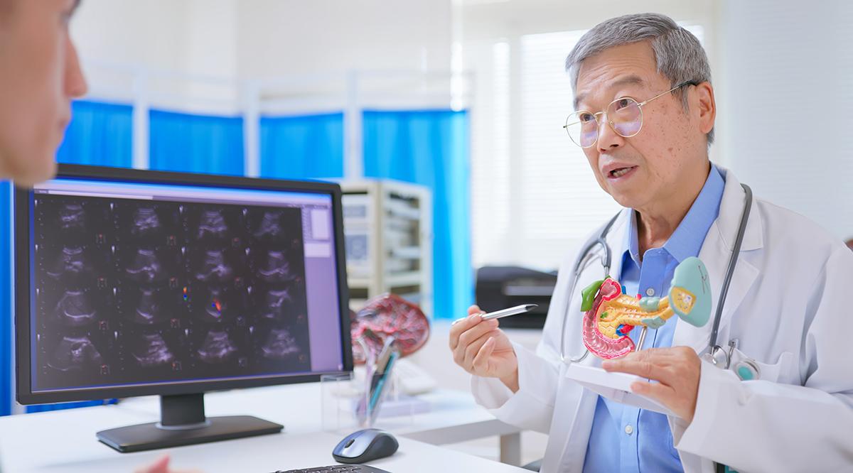 Male doctor explaining pancreas spleen condition using ultrasound device and 3D model to young patient in medical consultation room