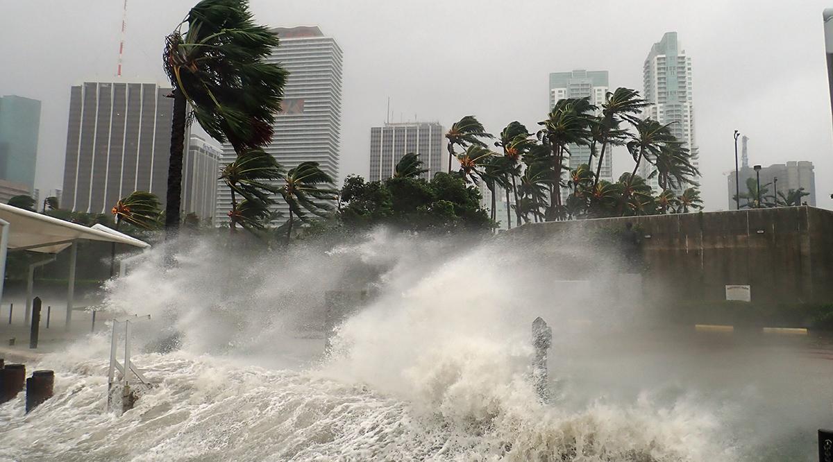 Hurricane preparedness lessens stress when a disaster strikes
