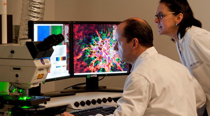 Two scientists observe ocular tissue samples with microscopic detail