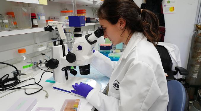 A participant in the NIH Medical Research Scholars Program
