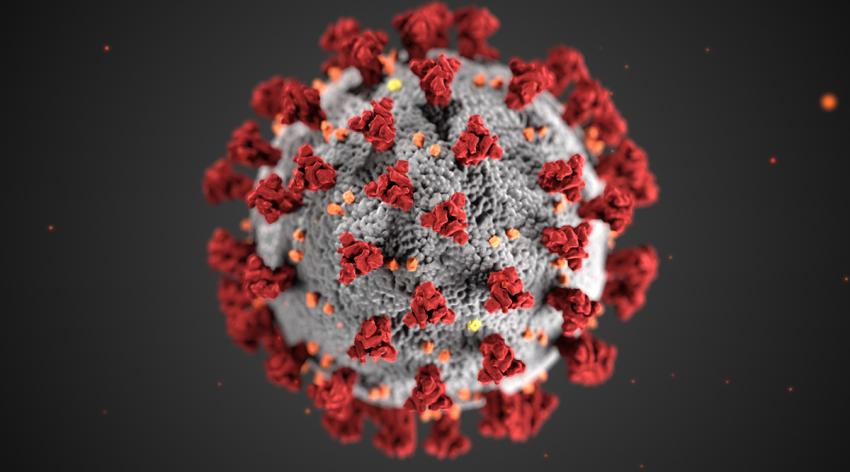 A 3D illustration created at the Centers for Disease Control and Prevention (CDC) showing ultrastructural morphology exhibited by coronaviruses. The spikes that adorn the outer surface of the virus, which impart the look of a corona surrounding the virion, when viewed electron microscopically.