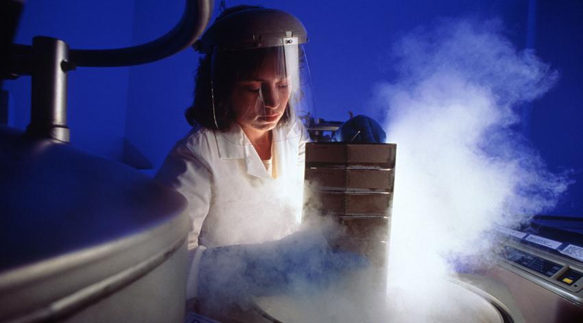 A lab technician pulls samples out of a freezer