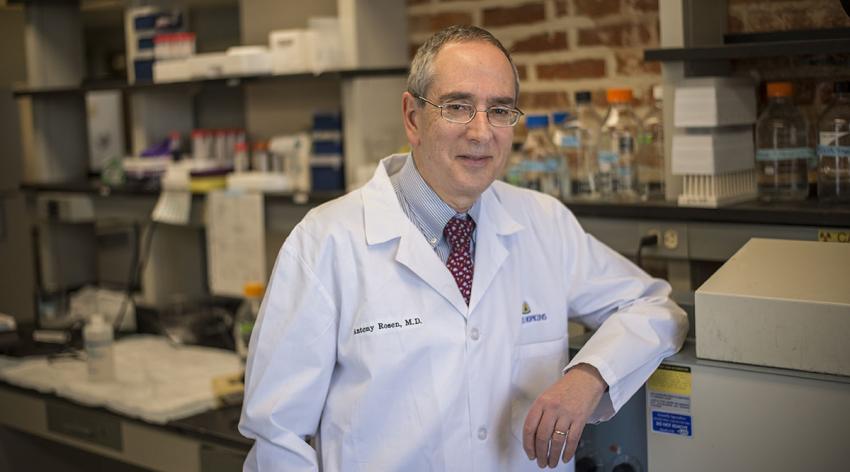 Antony Rosen, MBChB, MS, in his lab at Johns Hopkins Medicine