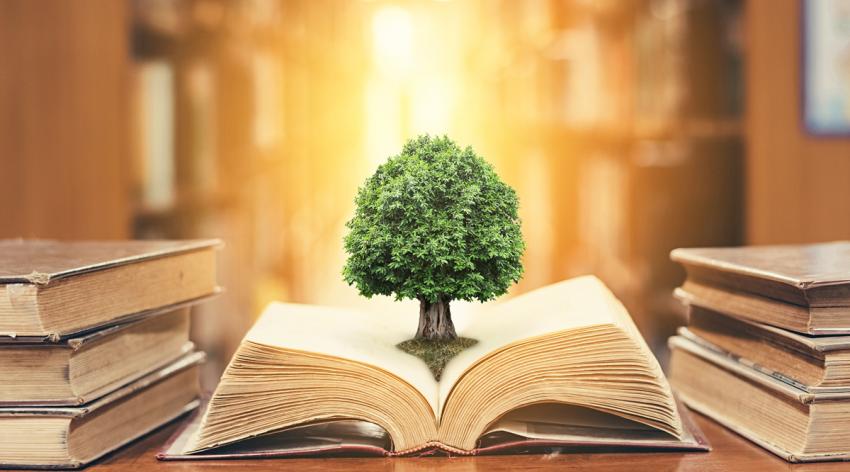 An opened old big book in library full with textbook, stack piles of text. On top of the big old book is a small tree.