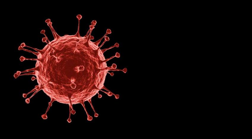 A close up image of the COVID-19 virus.