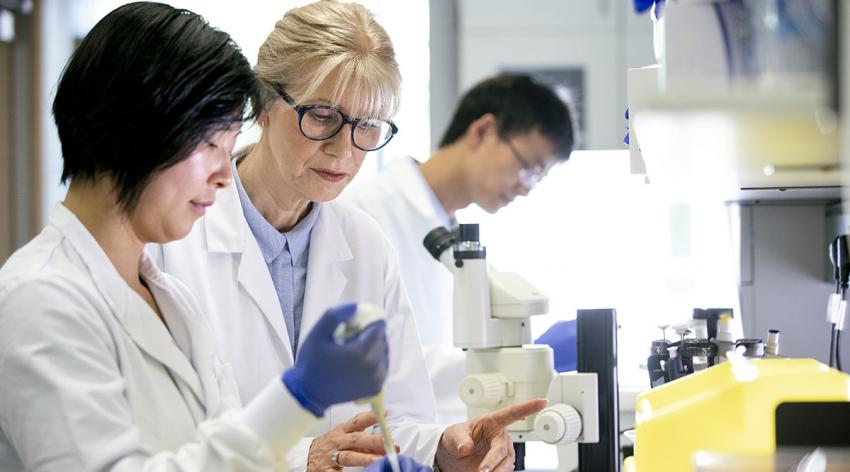 Women scientists in lab coats in a lab