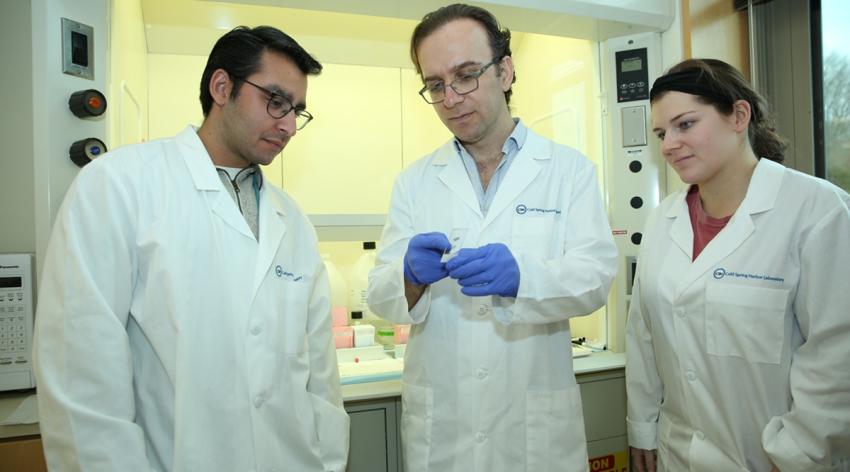 Semir Beyaz, PhD, center, pictured in his lab at Cold Spring Harbor Laboratory (CSHL)
