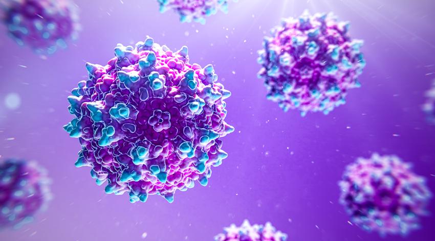 Illustration of the adeno-associated virus (AAV)