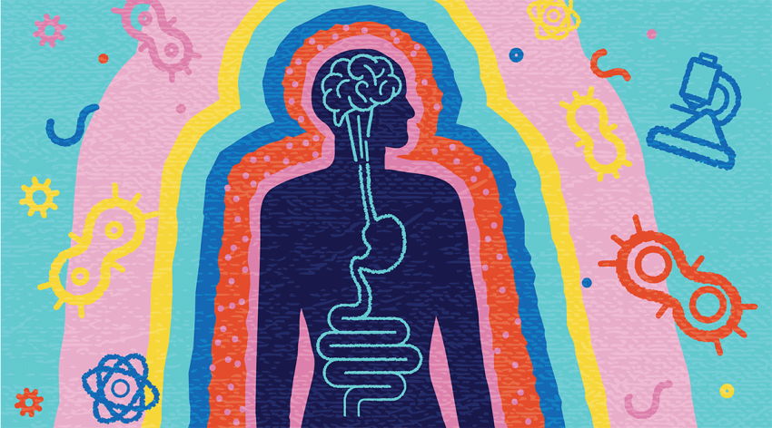 Illustration of human with brain and intestine surrounded by gut bacterium and science elements