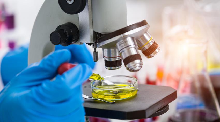 Research in Laboratory