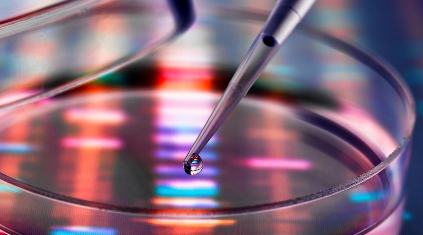 Sample of DNA being pipetted into a petri dish over genetic results