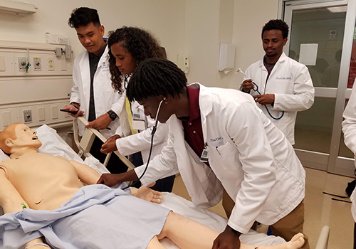 lab practice at UCLA