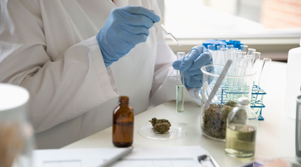 Why doctors know almost nothing about the health effects of marijuana
